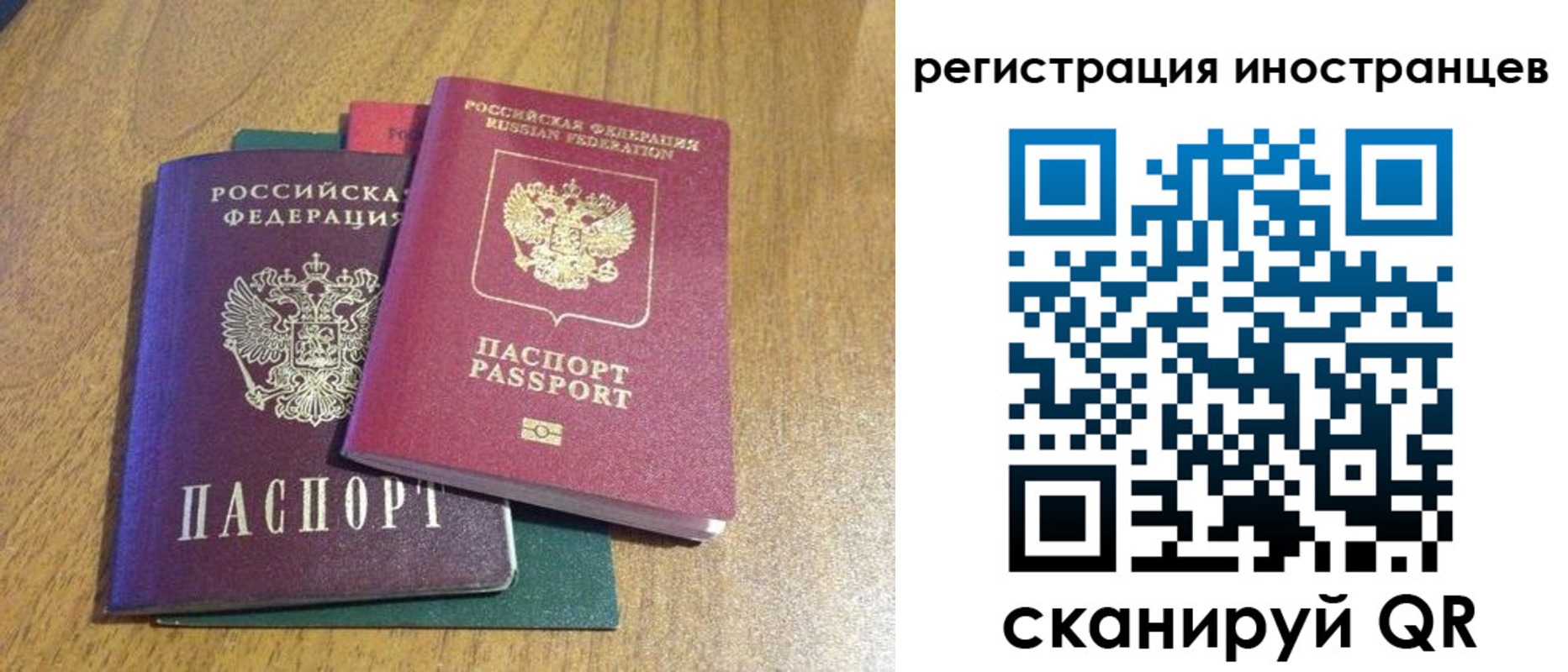 временная регистрация поиск в Могочи